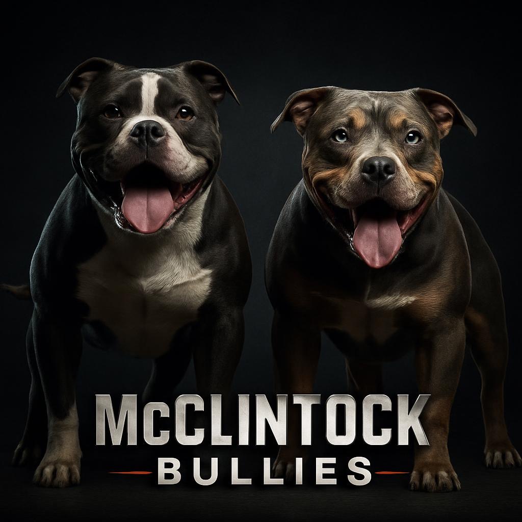mcclintockbullies